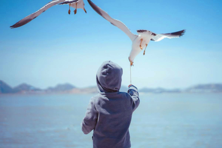 <大连+棒棰岛+旅顺+金石滩+黄金海岸双飞5日游>打卡大连夜景游/星海广场喂海鸥/黄金海岸踩水玩沙/蓝天碧海/赏魅力海岸/望海鸥盘旋