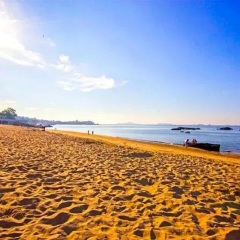 活动模块 
