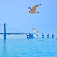 跨海大桥 景点模块