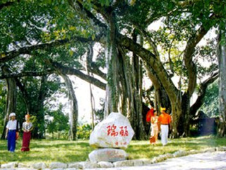 深圳出发腾冲游_报团游腾冲_跟团旅游腾冲