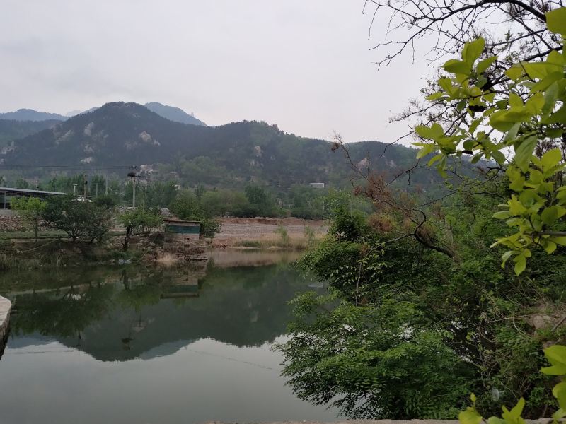 青岛碧海雅居农家乐(Z005分店)