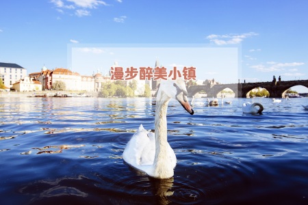 [春节]<欧洲-奥地利+捷克+匈牙利12日游>严选东欧深度,全程市区四五星,正餐全含,维也纳音乐会,多瑙河游船,盐矿,CK小镇,哈尔施塔特,美泉宫,渔人堡,WIFI