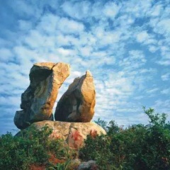 活动模块 