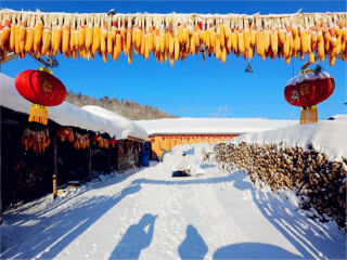 去哈尔滨旅游跟团去_哈尔滨旅游与越南旅游_哈尔滨五日游价格