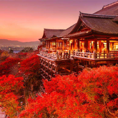 景点模块 