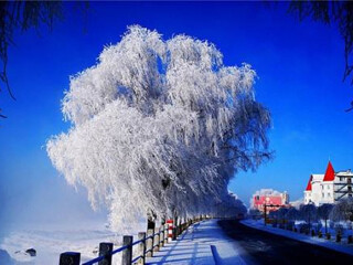 参团去哈尔滨旅游_旅行线路哈尔滨_跟团游去哈尔滨