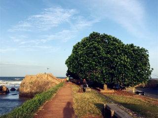 近期斯里蘭卡游價格_斯里蘭卡旅行團旅游報價_斯里蘭卡旅游價格多少跟團