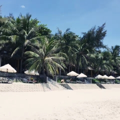 活动模块 