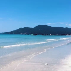 活动模块 