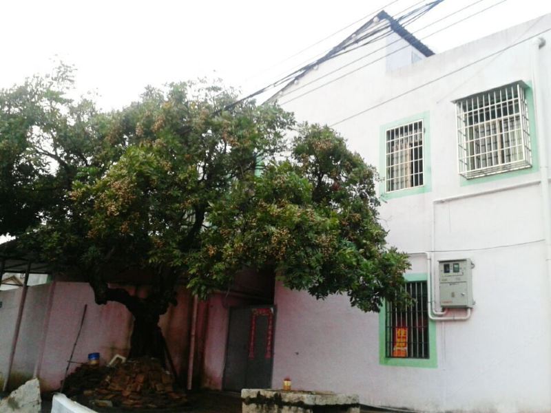 厦门北站幸福客栈