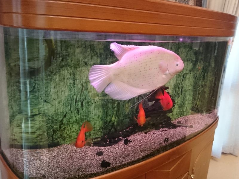 酒店大堂