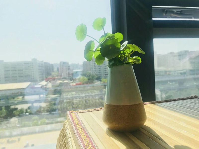 厦门柒•舍公寓
