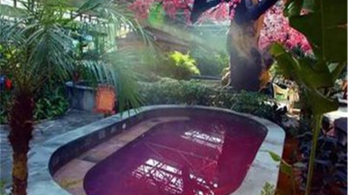 鞍山汤岗子北苑世界-水秘籍街机1日游v岗子休温泉游戏万里长城温泉图片