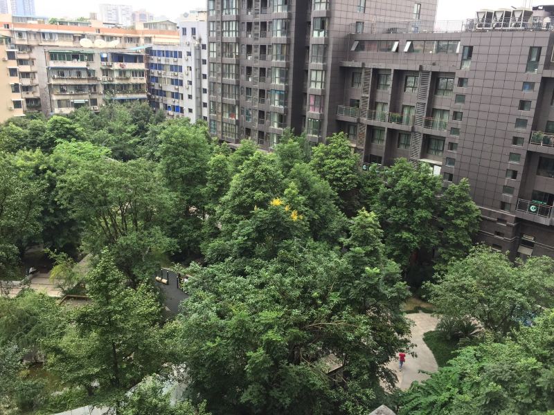 成都旅行者停留的港湾酒店式公寓