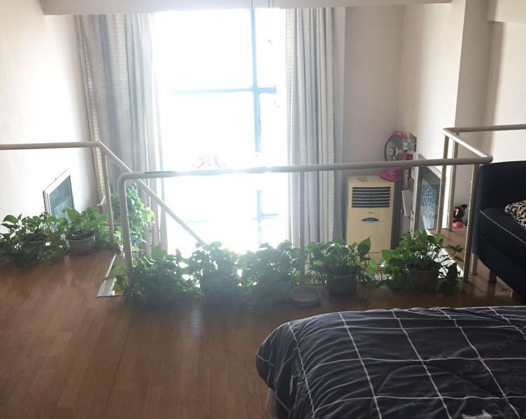 成都LOFT小猪公寓(万和路分店)