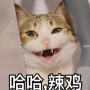 29056760