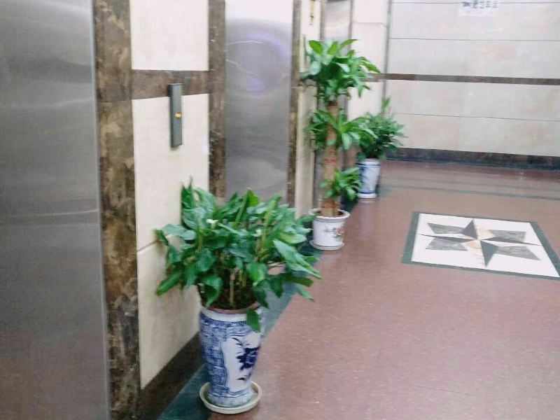 酒店大堂