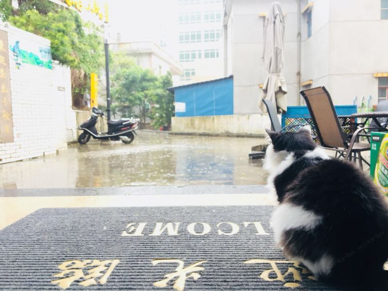 深圳西涌鹤薮逐浪客栈