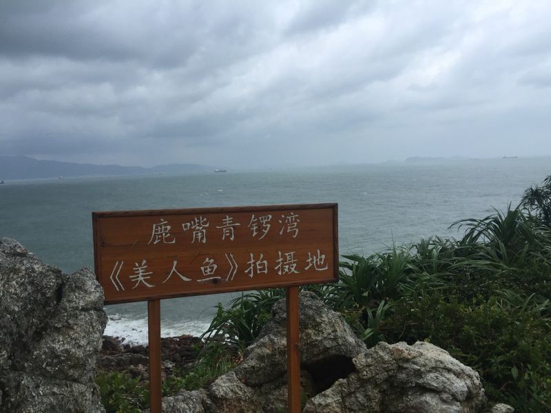 深圳星空缘客栈叶掌柜