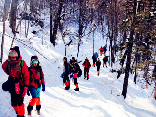 几月去哈尔滨旅游便宜_哈尔滨游团报价_哈尔滨旅行公司