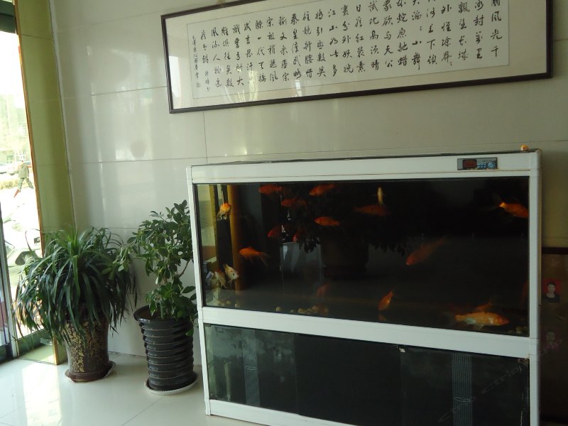 酒店大堂