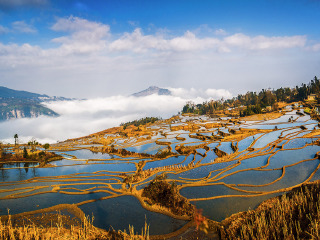 廣州云南昆明旅游團_去云南昆明旅游_云南昆明旅游團報價