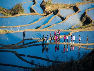 廣州云南昆明旅游團_去云南昆明旅游_云南昆明旅游團報價