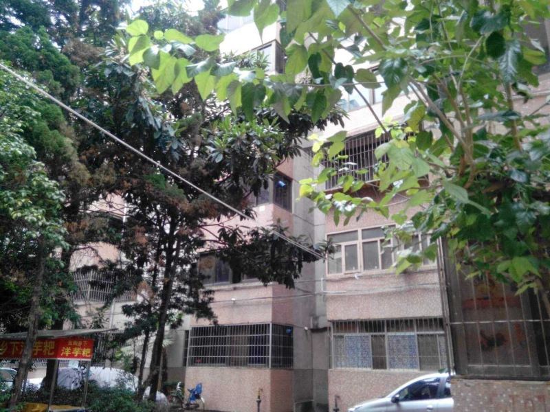 昆明多多家客栈