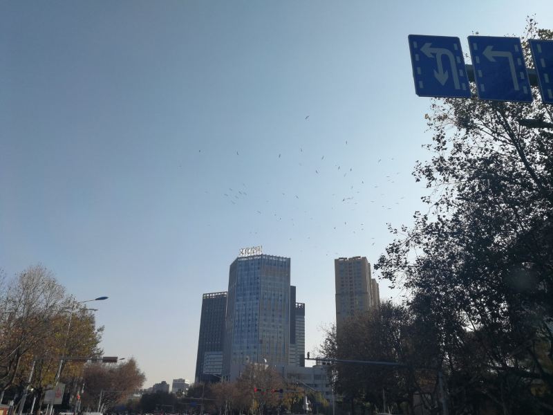 酒店外观