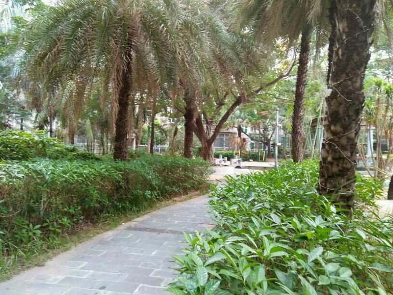 三亚王女士特色民宿(三亚湾路分店)