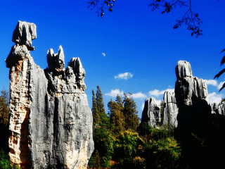 云南西雙版納游 旅行團_云南西雙版納半自由行_深圳特價云南西雙版納游