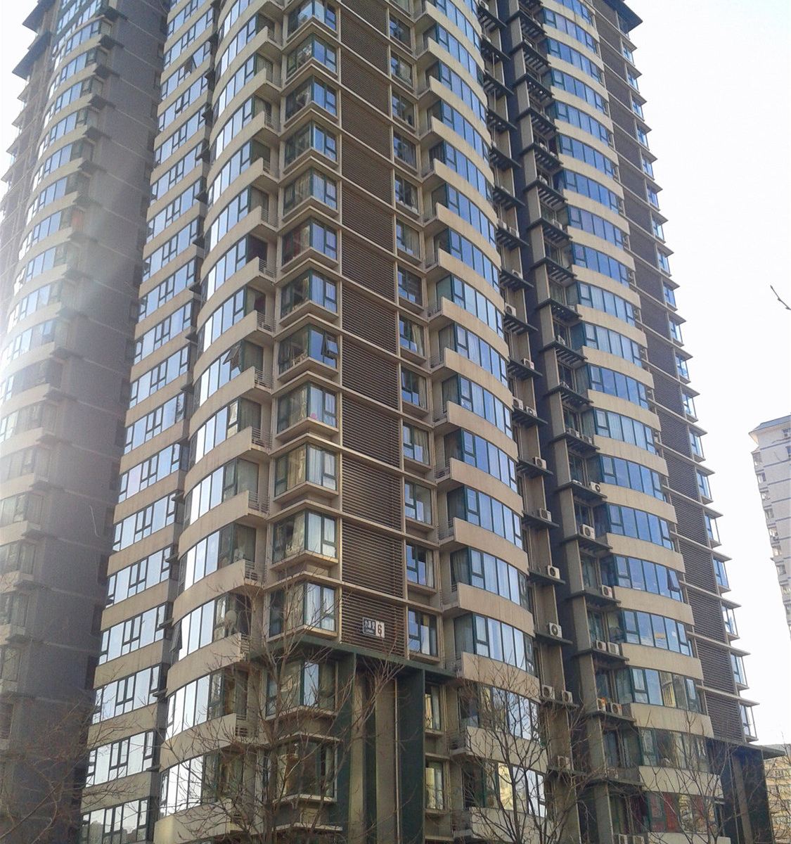 外观