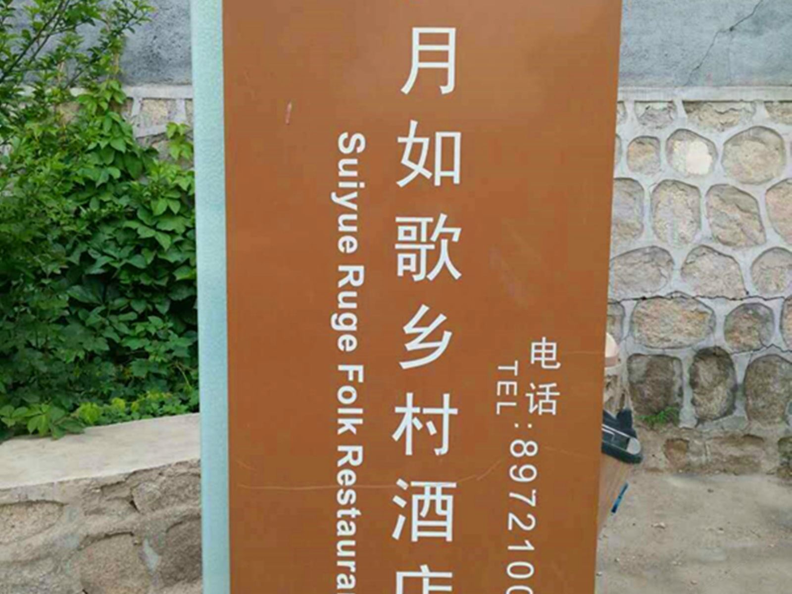 外观