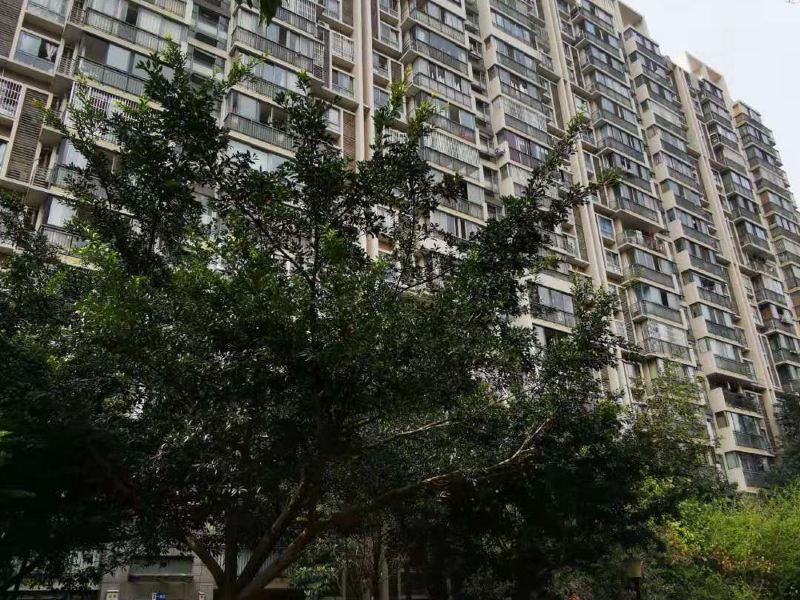 成都东隅梦时光公寓