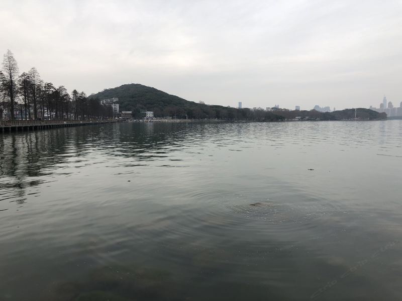 武汉个位数公寓(泡泡多肉植物馆分店)