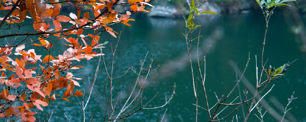 武汉适合1岁宝宝玩的地方_武汉适合带1岁宝宝
