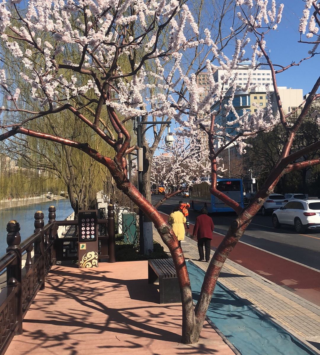 北京居家青旅