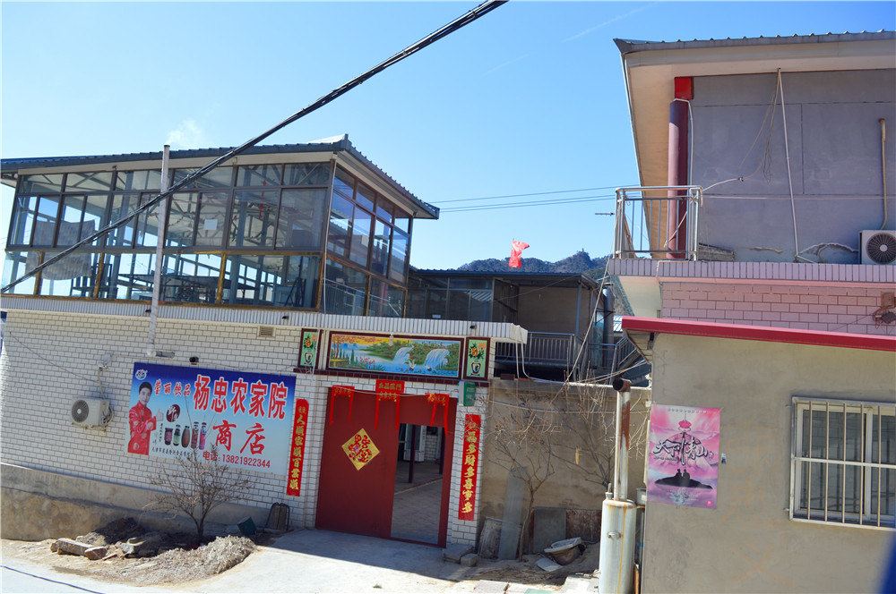 蓟县杨忠农家院