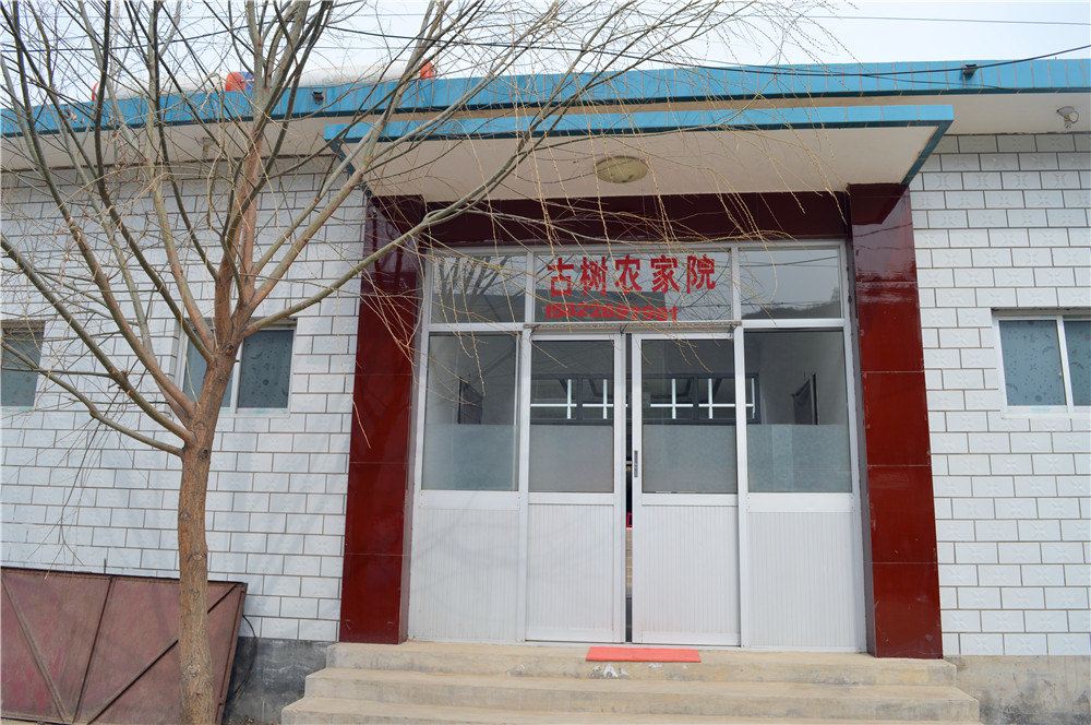 蓟县古树农家院