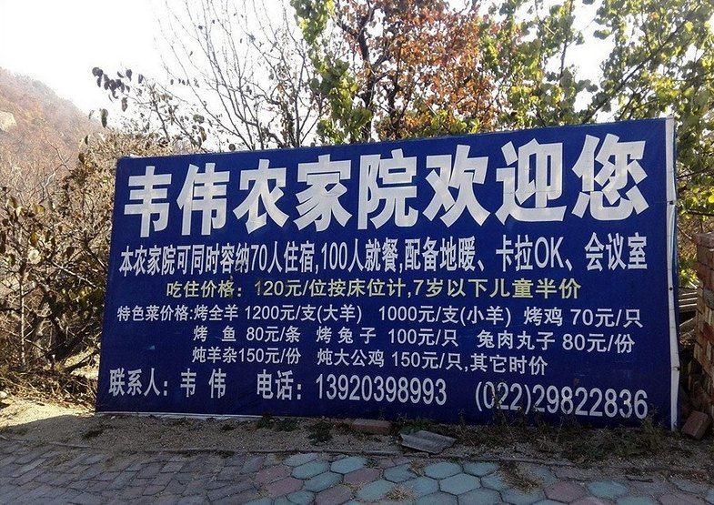 外观