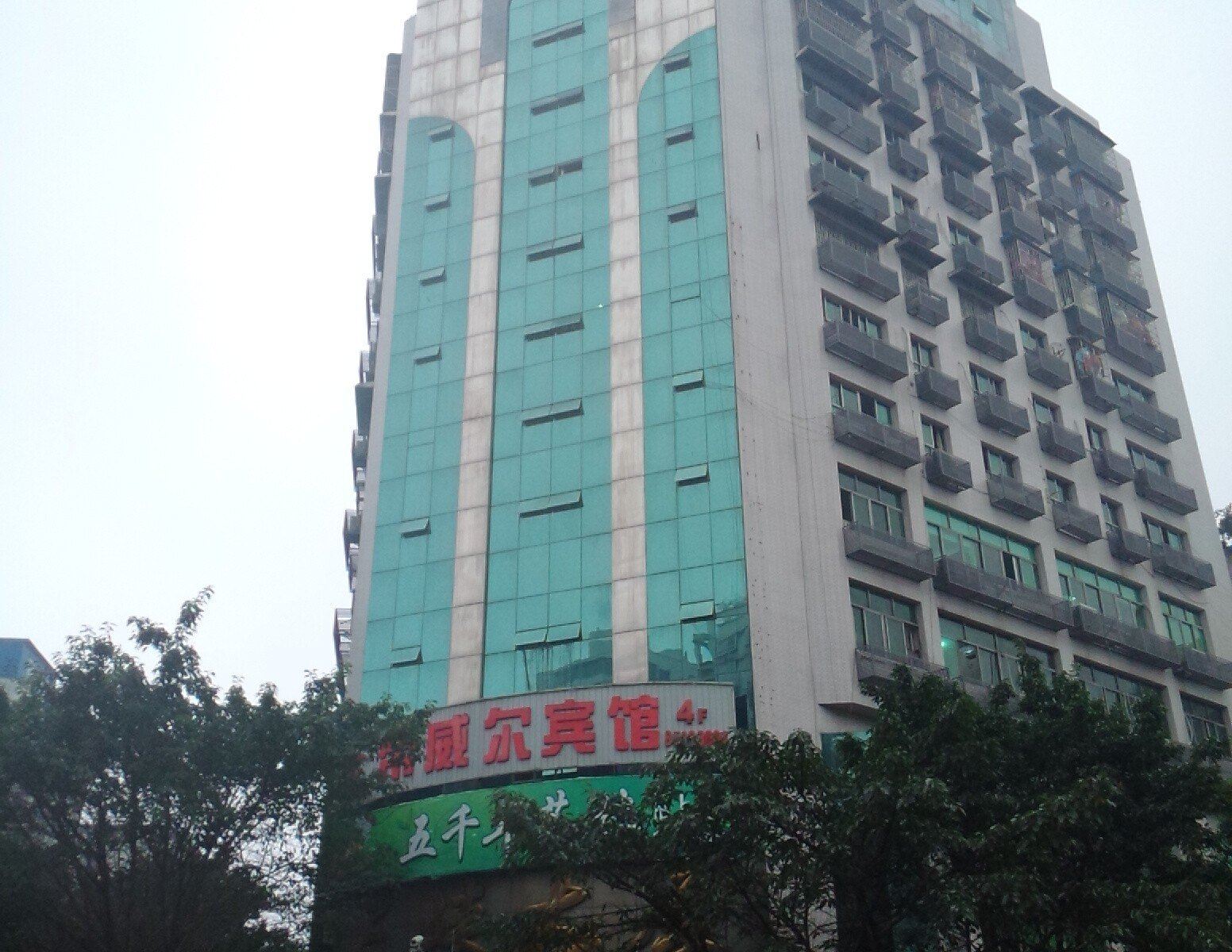 外观