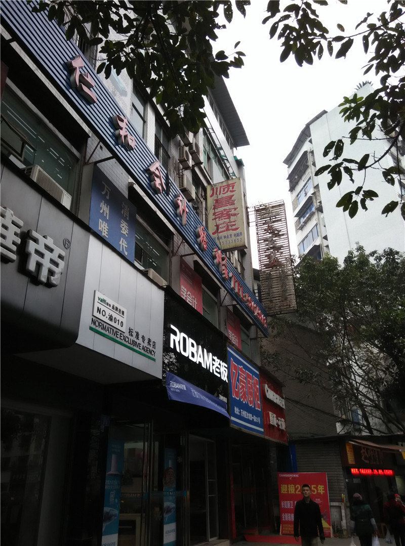 外观