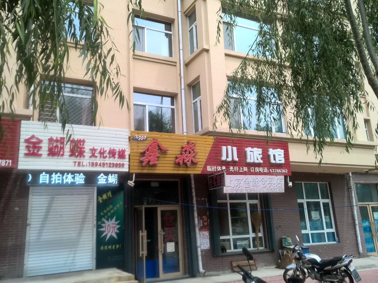 外观