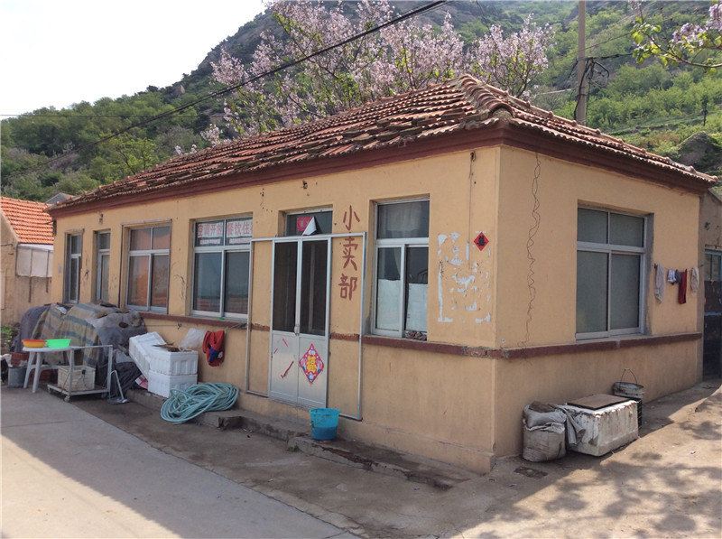 青岛唐龙龙渔家乐