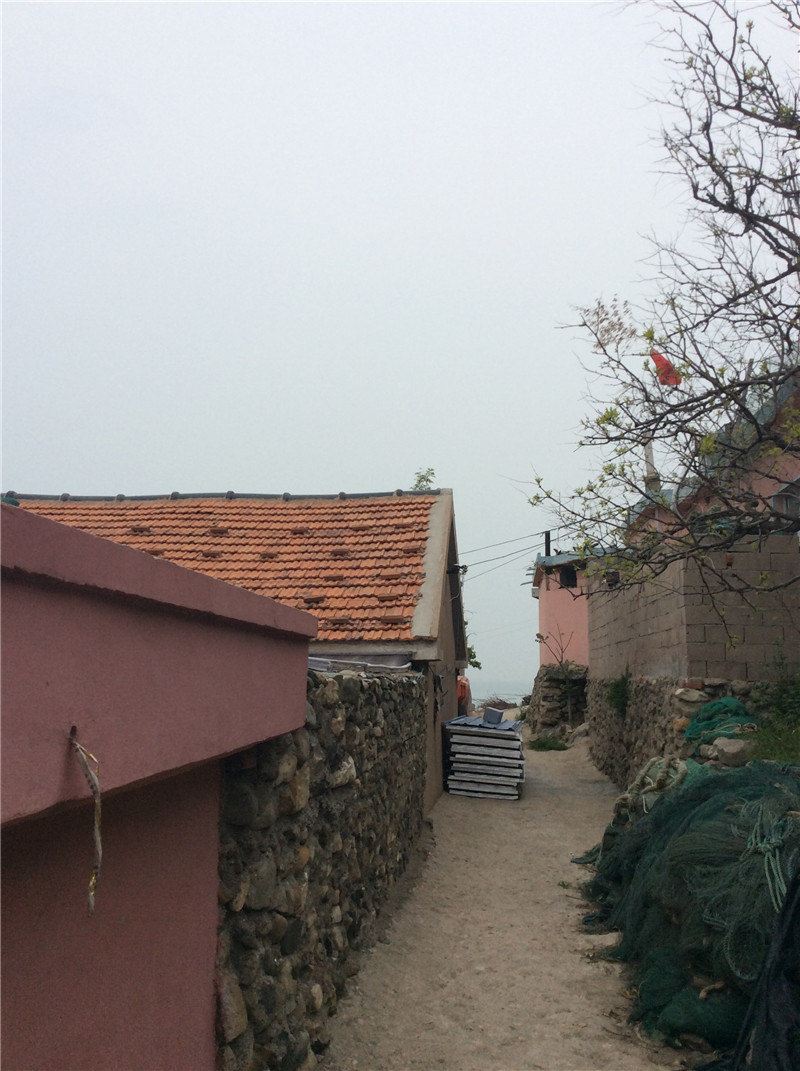 青岛刘二渔家