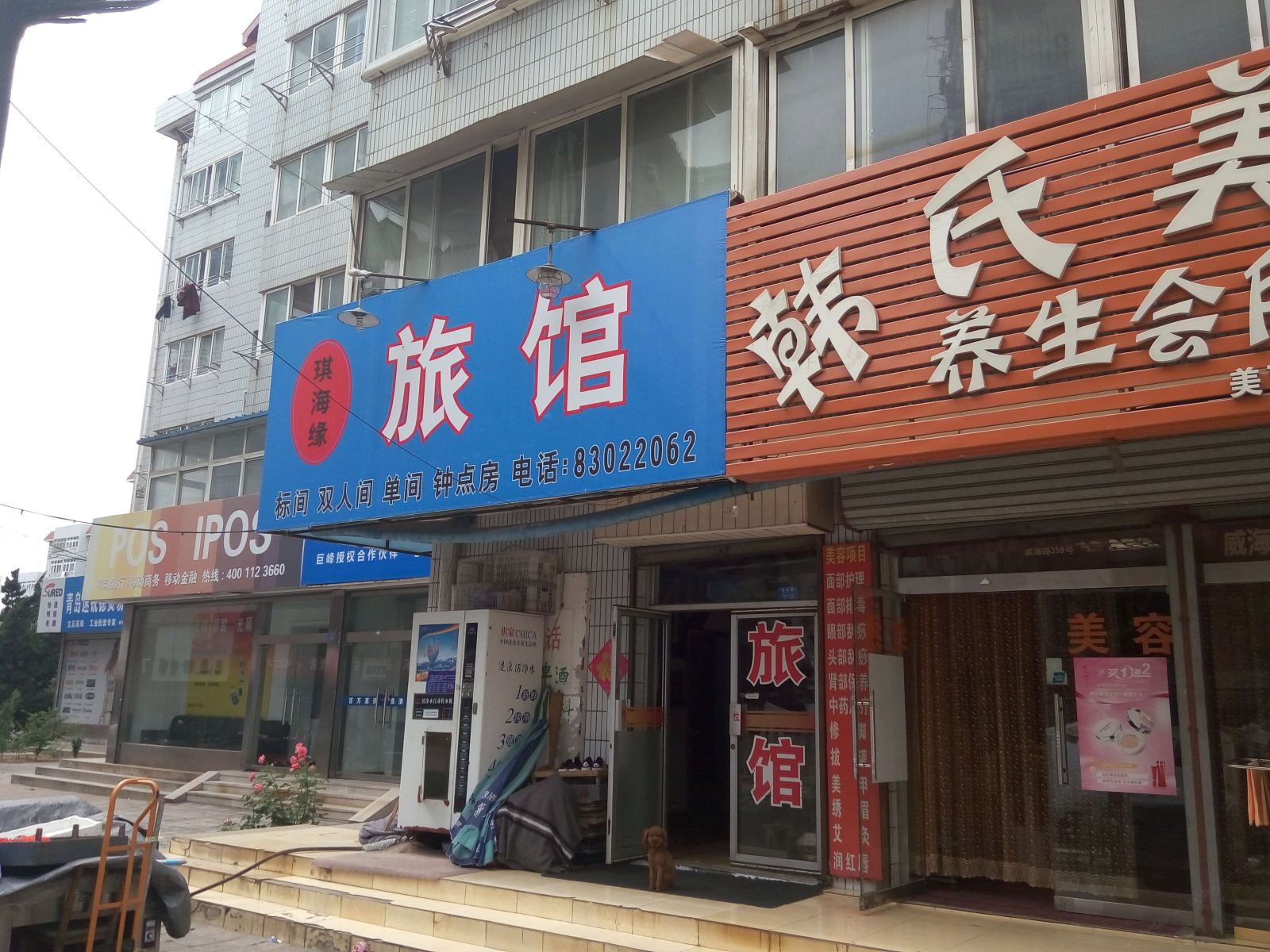 外观