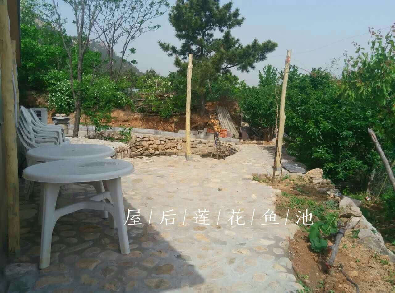 健身娱乐设施