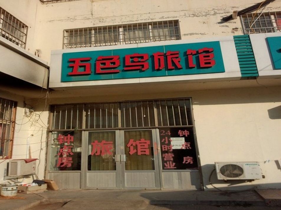 青岛五色鸟旅馆