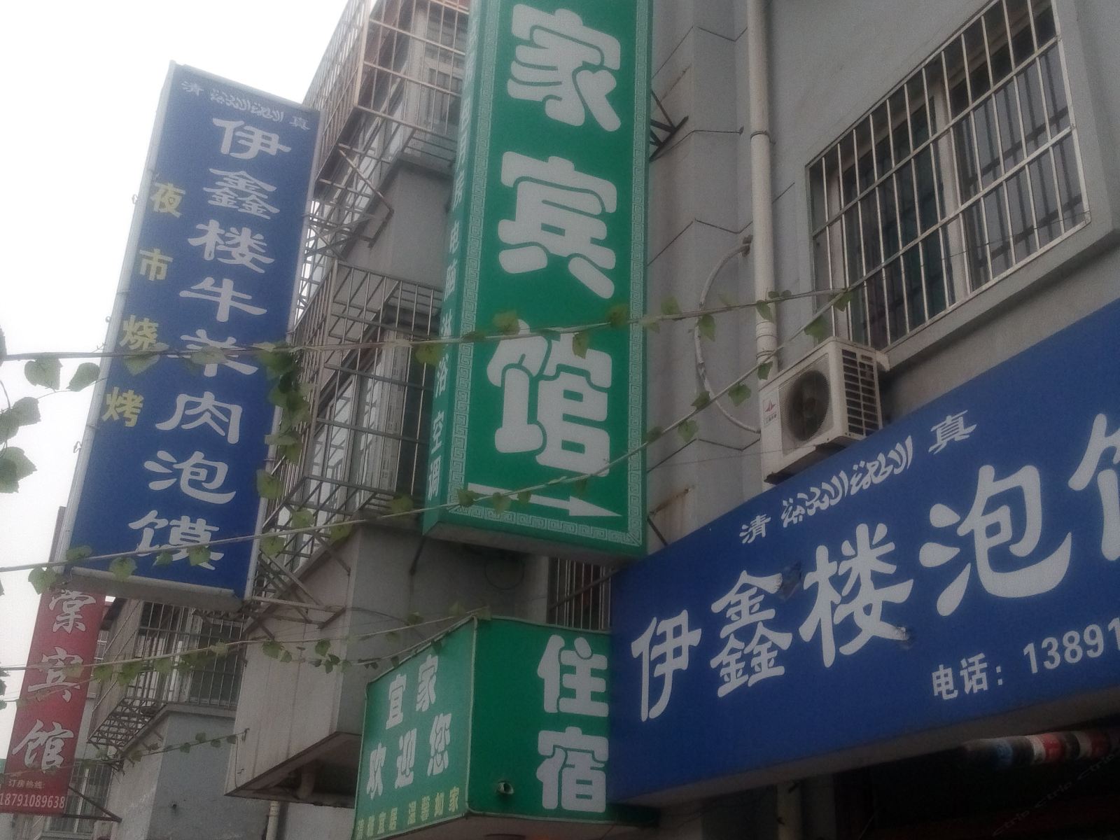 外观