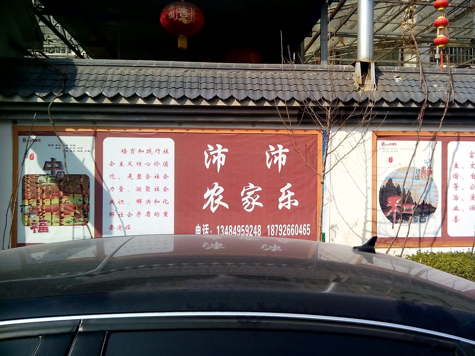 外观